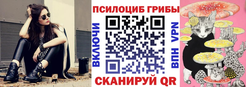 Купить где  Анжеро-Судженск  Галлюциногенные грибы GOLDEN TEACHER 